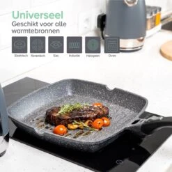 Coninx Grillpan 28CM - Steakpan - Afneembare Handgreep - PFAS-vrij - Grijs -Pot Promotiewinkel 1200x1200 1453