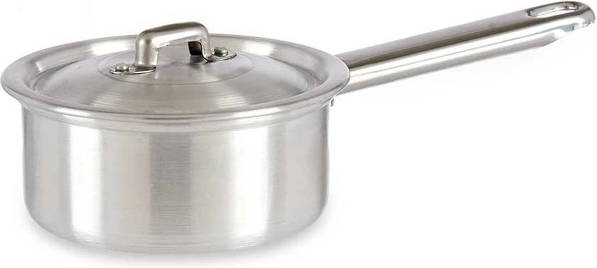 Steelpan/sauspan/juspan Zilverkleurig 26 X 14 X 8 Cm Van 0.6 Liter Aluminium - Met Handige Deksel - Kookpannen 1 Steelpan/sauspan/juspan Zilverkleurig 26 X 14 X 8 Cm Van 0.6 Liter Aluminium - Met Handige Deksel - Kookpannen